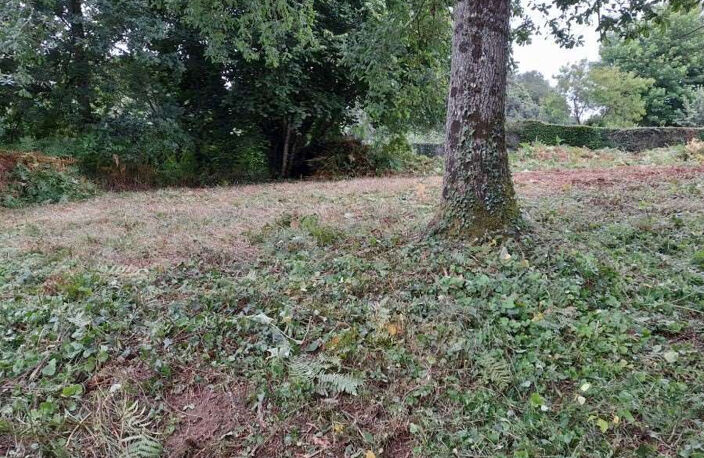 // A SAISIR // Terrain constructible et viabilisé Les Monts d'Andaine 860 m2 — photo 4