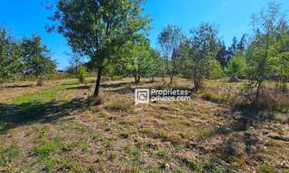 Terrain  29154 m² à vendre à Elne (66200)