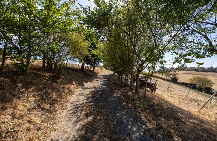 Corps de ferme de 183 m² et grand terrain de 5 631 m² - Proche Lyon — photo 5
