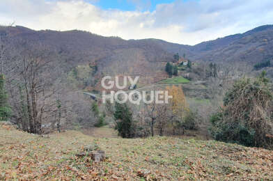 Terrain  39000 €