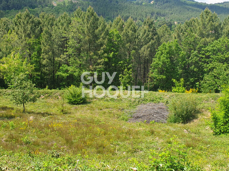 Magnifique parcelle constructible sur Mercuer — photo 1
