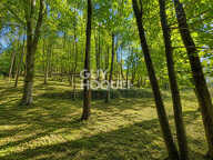 Terrain Thueyts 1431 m2 — photo 3