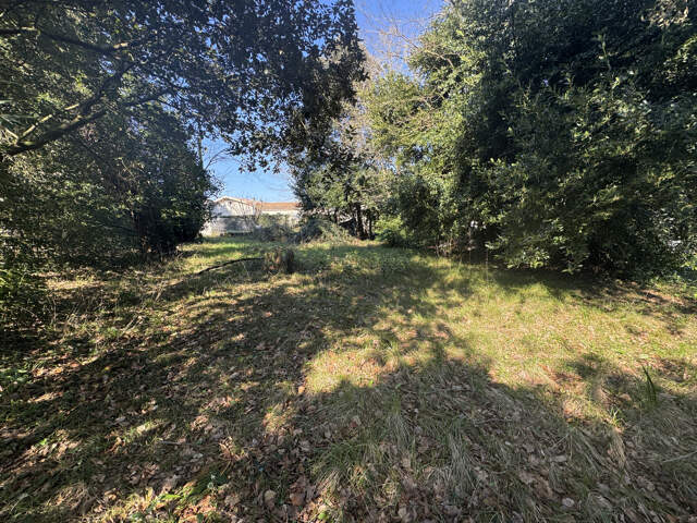 Terrain 800 m2 17132 Meschers/ Gironde — photo du bien
