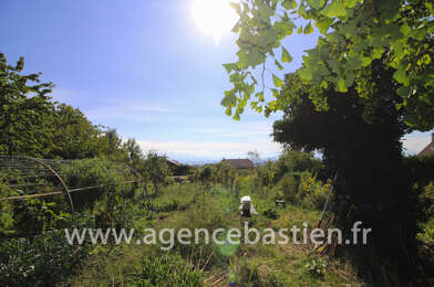 Terrain  520000 €