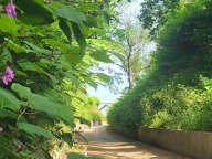 Vente Gîte 1 pièce — photo 2