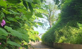 Photo N° 2