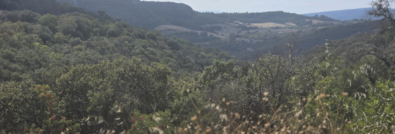 Terrain  40780 m² à vendre à Saint-Saturnin-lès-Apt (84490)