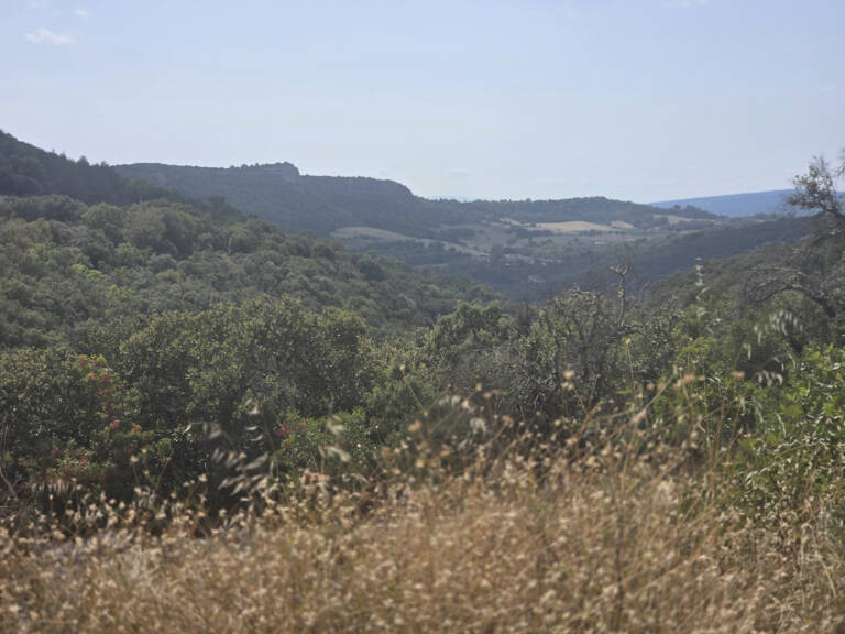 Terrain Forestier vallonné — photo 1