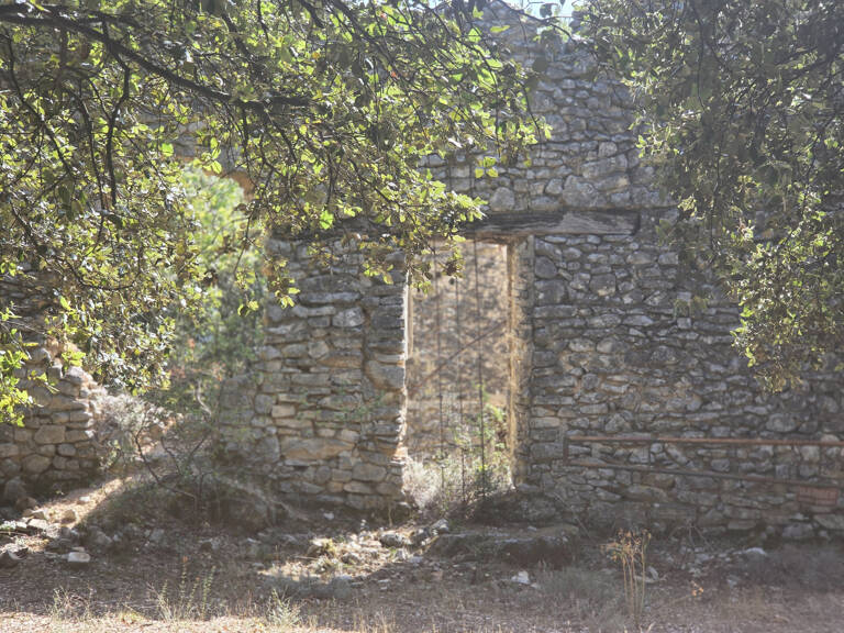 Terrain forestier avec ruine — photo 1