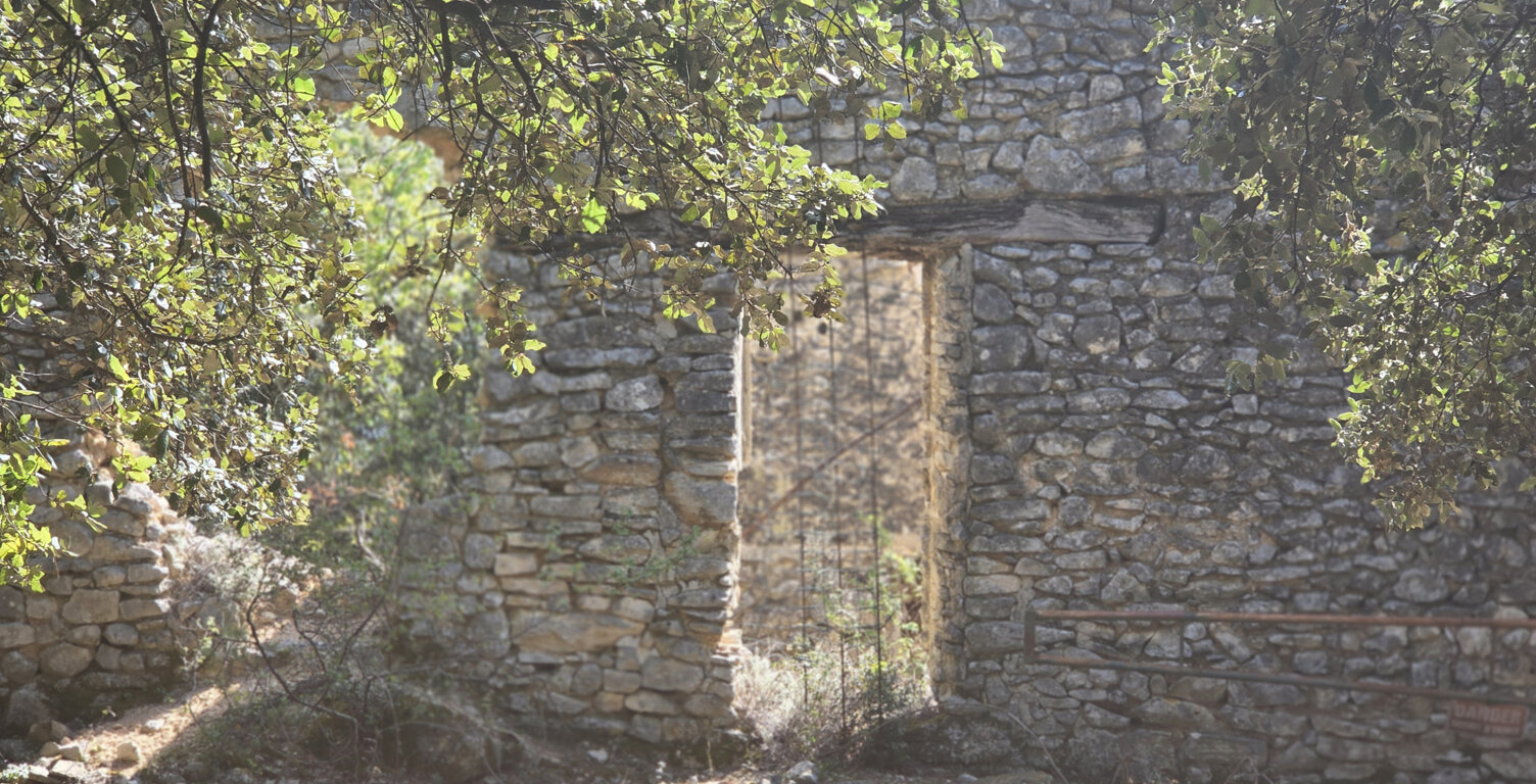 Terrain forestier avec ruine — photo 1