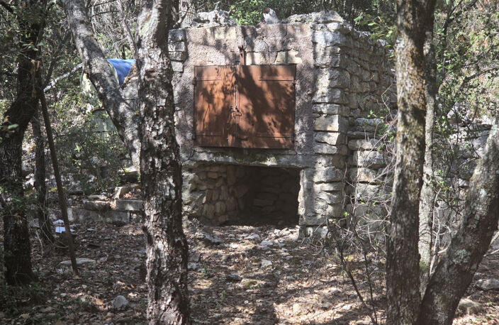 Terrain forestier avec ruine — photo 2
