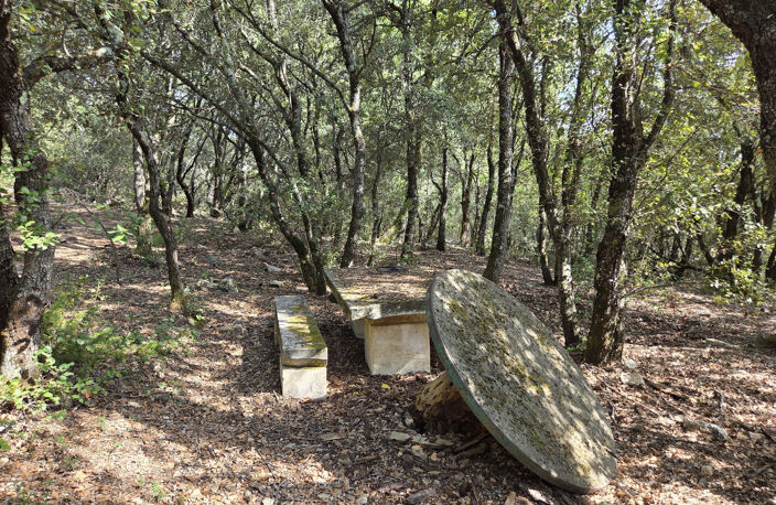 Terrain forestier avec ruine — photo 4