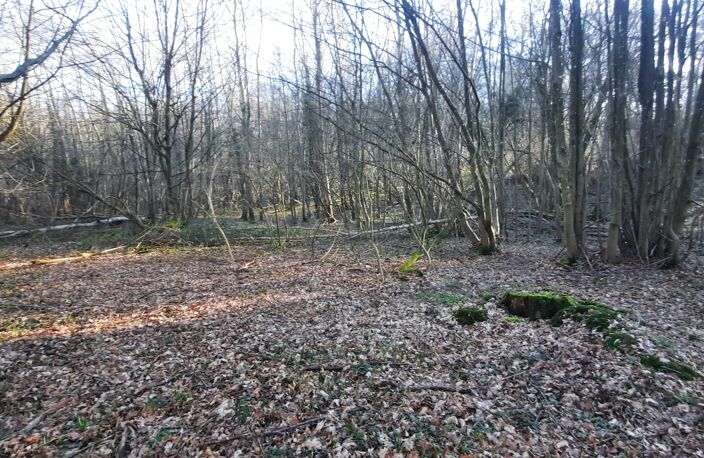 Vente Terrain 3 500 m&sup2; — photo 4