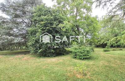 Terrain arboré — photo du bien