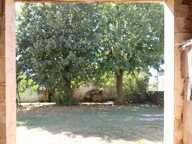 Grange de 142m2 au sol sur terrain de 693m2 — photo 3