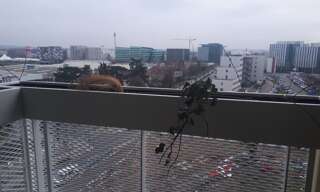 Appartement 2 Pièces 40 m² à louer à Villeurbanne (69100)