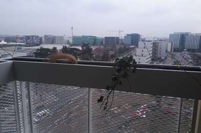 Appartement 2 pièces 709 €