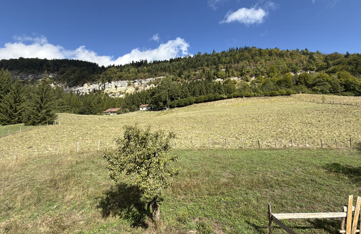 ROSUREUX - MAISON AVEC TERRAIN SPACIEUX — photo 4