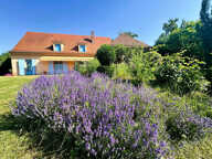 MOLLES MAISON DE CARACTÈRE — photo 2