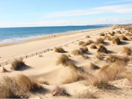GRAU DU ROI PLAGE T3 DE 63M² AVEC TERRASSE DE 15M2 — photo 3