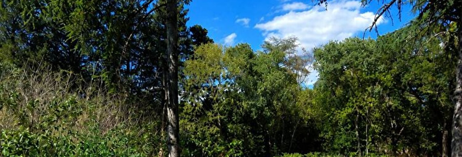 Terrain  1200 m² à vendre à Castelnau-le-Lez (34170)