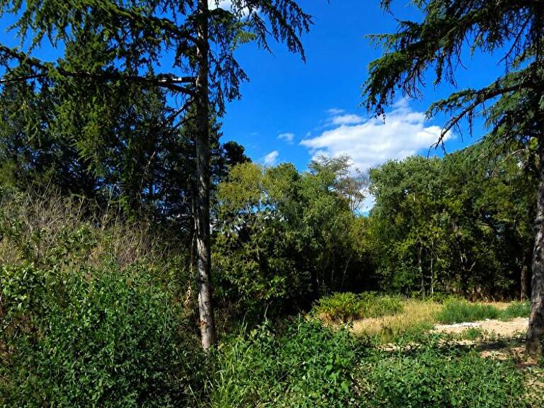 CASTELNAU-LE-LEZ / TERRAIN D'EXCEPTION DE 1 200 M² AU CALME ABSOLU / PROJET LIBRE OU VILLA CONTEMPORAINE — photo 1
