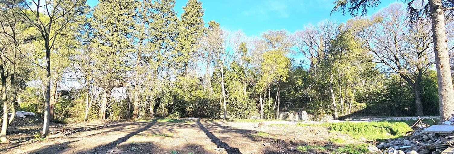 Photo N° 2