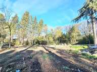 CASTELNAU-LE-LEZ / TERRAIN D'EXCEPTION DE 1 200 M² AU CALME ABSOLU / PROJET LIBRE OU VILLA CONTEMPORAINE — photo 2