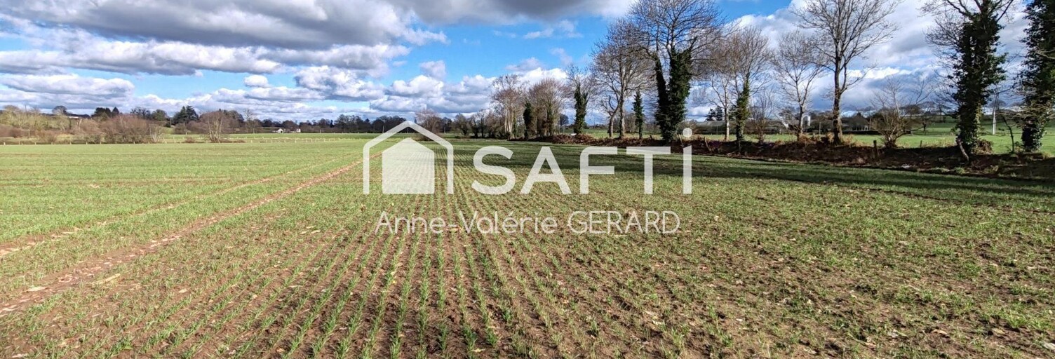 Terrain  120000 m² à vendre à Fougerolles-du-Plessis (53190)