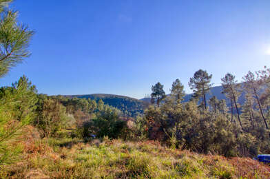 Terrain  40000 €