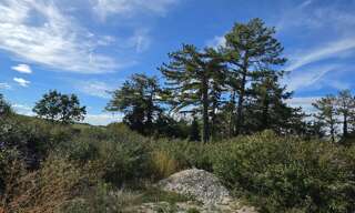 Terrain  750 m² à vendre à Macey (10300)
