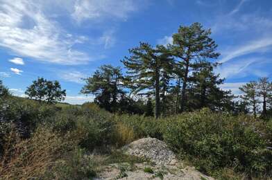 Terrain  68000 €