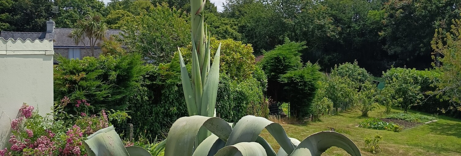 Photo N° 2