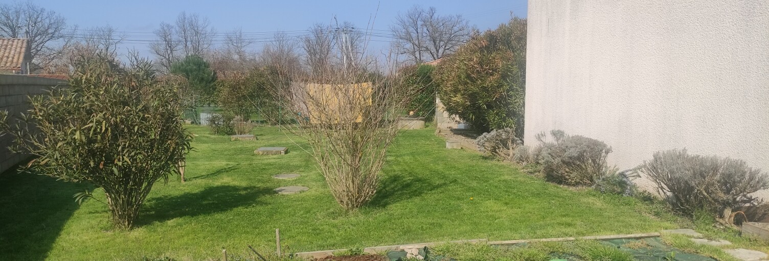 Photo N° 2