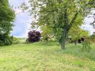 A voir ! — photo 2