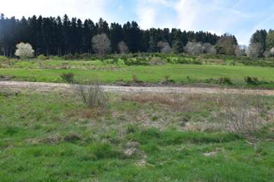 Terrain  61000 €