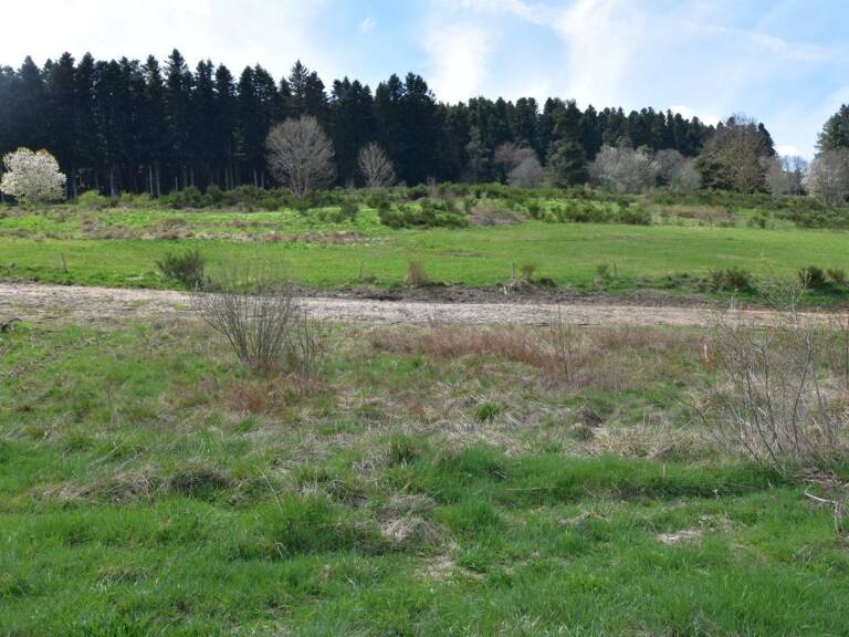 Terrain à vendre de 1 018,00 m² DUNIERES (43) Vue dégagée – Cadre paisible – Proche commodités — photo 1