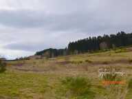 Terrain à vendre de 1 074,00 m² DUNIERES (43)-Bien situé et vue dégagée — photo 2