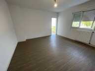 T3 — photo 3