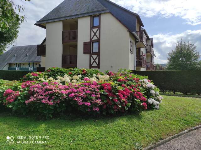 Studio de 19m2 à louer sur Deauville — photo du bien