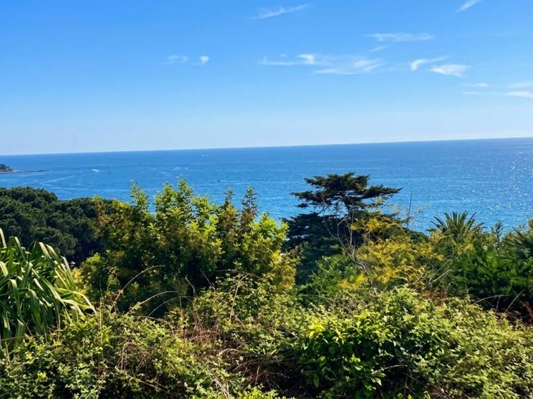 Terrain à vendre  CANNES (06) avec permis accordé et purgé vue mer — photo 1