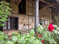 Ancienne Ferme Bressane de Caractère — photo 2