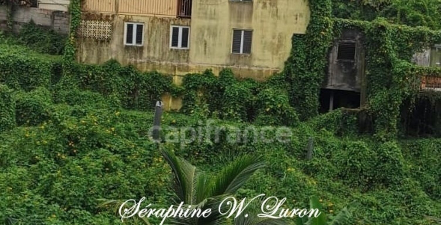 Dpt  (972), à vendre  maison 7 p - 170 m² -  202000 € — photo 1
