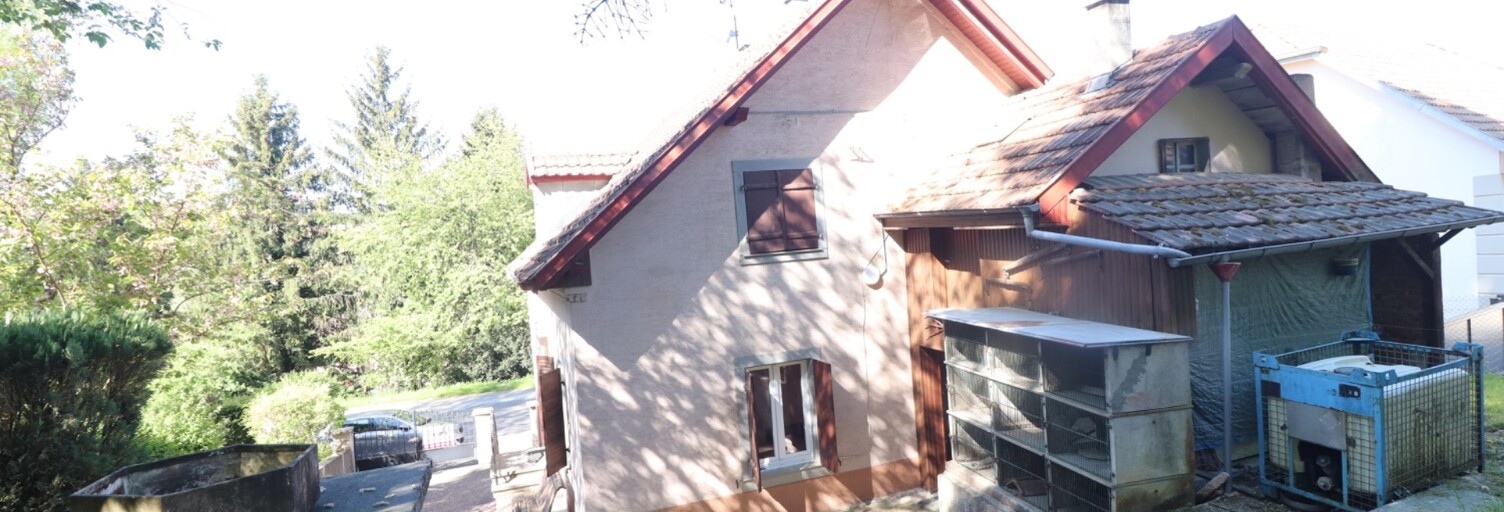 Maison 5 Pièces 123 m² à vendre à Roppentzwiller (68480)