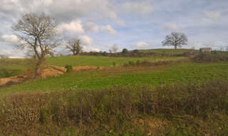 Terrain  1501 m² à vendre à Maurs (15600)