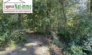 Terrain  3926 m² à vendre à La Selle-sur-le-Bied (45210)