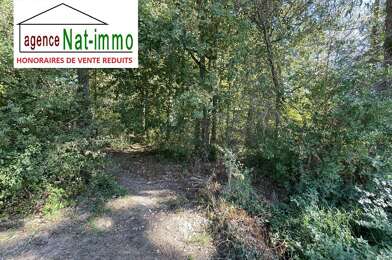 Terrain  40000 €