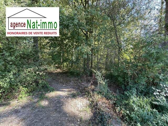 Terrain - 3926m ² — photo du bien