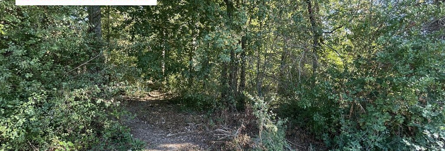 Terrain  3926 m² à vendre à La Selle-sur-le-Bied (45210)