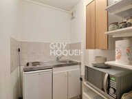 Jet d'eau, appartement T2 de 31 m² (Actuellement loué), proximité Sans Souci, Lyon 8ème (69008) — photo 3
